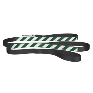 Green Stripes Dog Leash