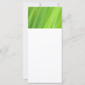 Green strips pattern (Back)