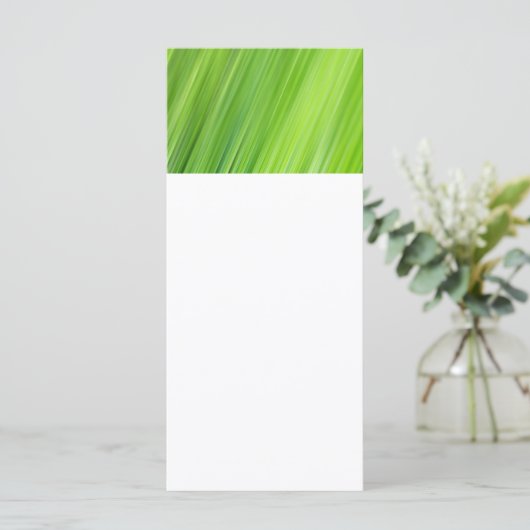 Green strips pattern (Standing Front)