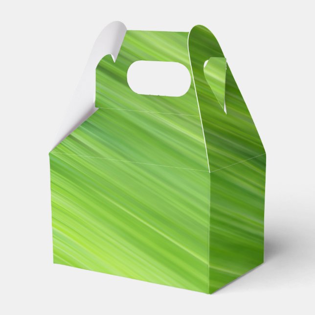 Green strips pattern favor boxes (Back Side)