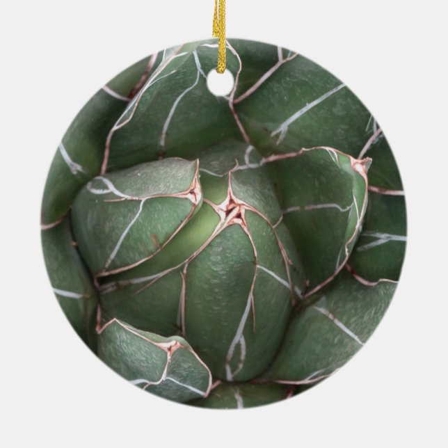 Green Succulent Circle Ornament (Back)