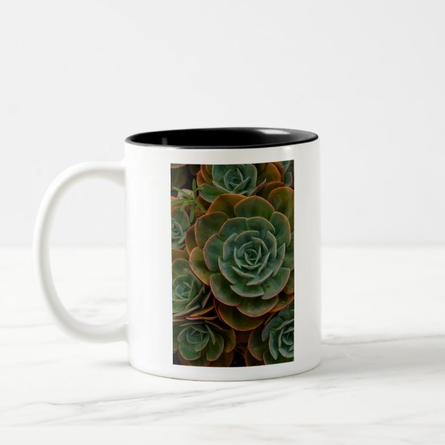 Green Succulent Flower Pattern Plant Photography Two-Tone Coffee Mug (Left)