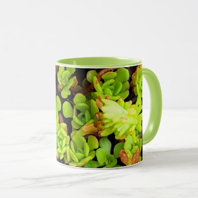 Green Succulent Flowers Mug (Front Right)