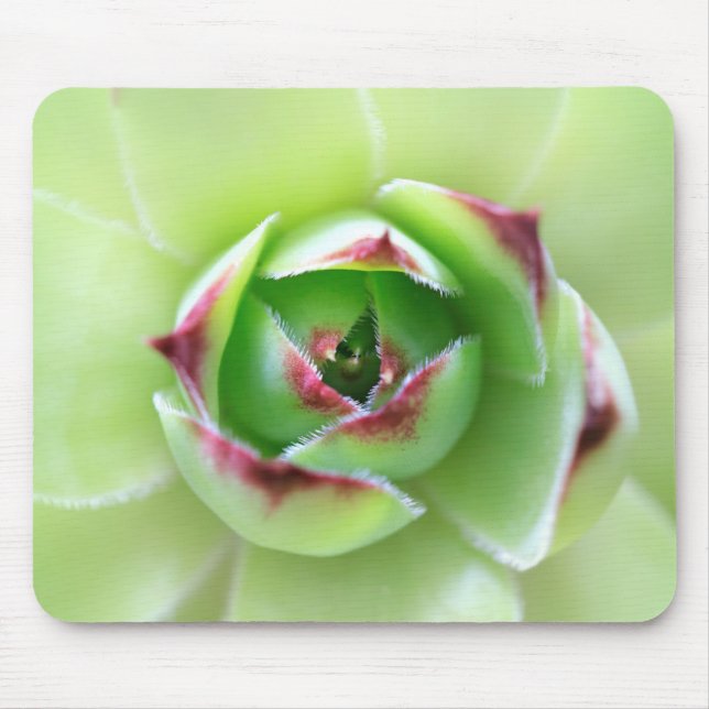 Green Succulent Macro with Red-Tipped Leaves Mouse Pad (Front)