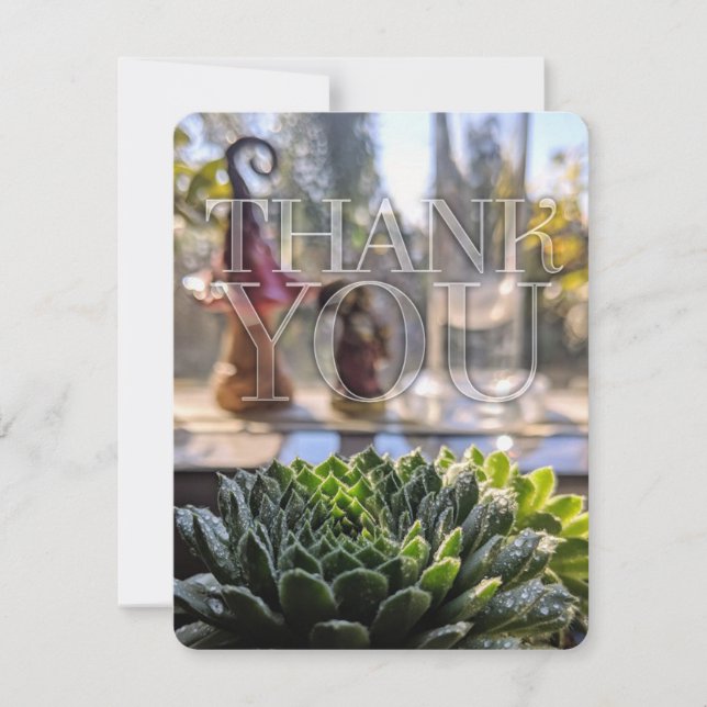 Green Succulent Nature theme Thank You Card (Front)