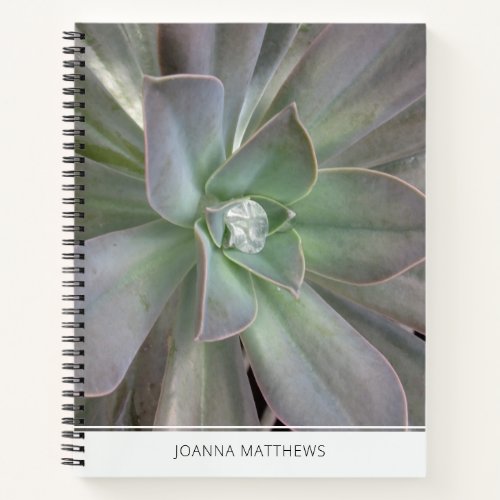 Green Succulent  Notebook