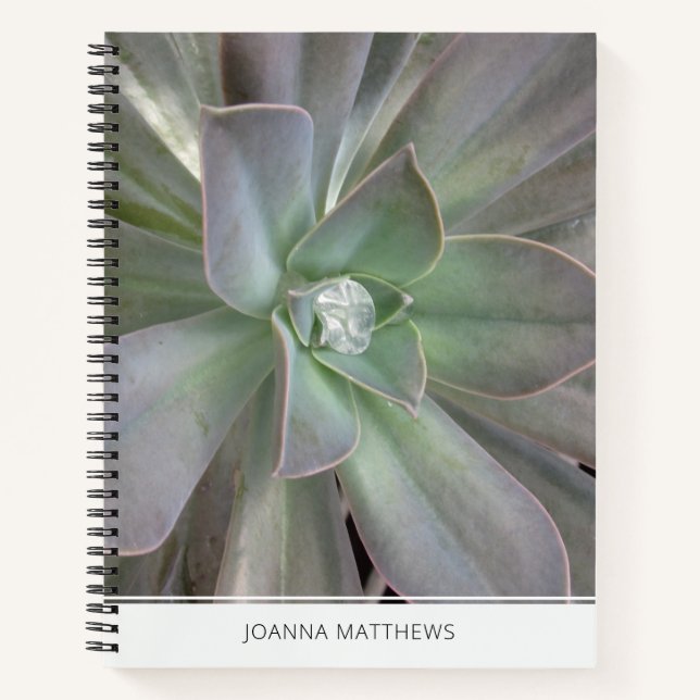 Green Succulent  Notebook (Front)