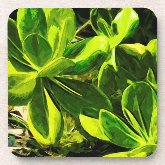 Green Succulent Ocean Beach Plant Abstract Coaster (Front)