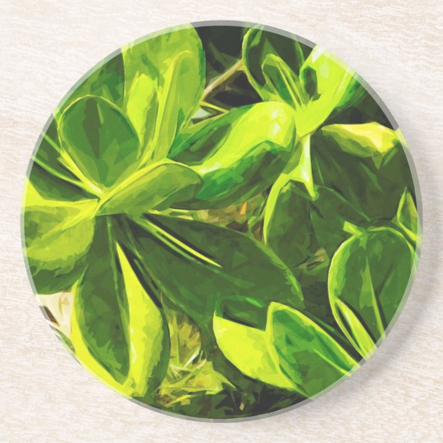 Green Succulent Ocean Beach Plant Abstract Drink Coaster (Front)