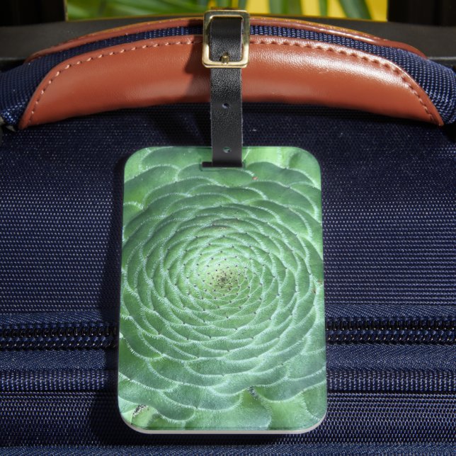 Green Succulent Plant Luggage Tag (Front Insitu 2)