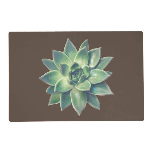 Green Succulent Plant on Lucky Brown Placemat (Front)