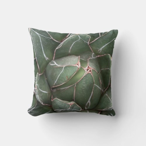 Green Succulent Plant Throw Cushion 41 cm x 41 cm