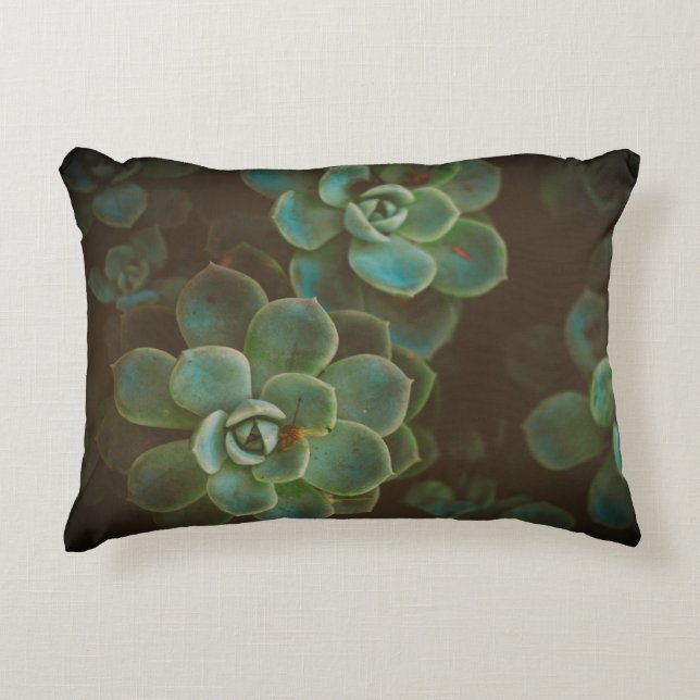 Green Succulent Plants Accent Pillow (Front)