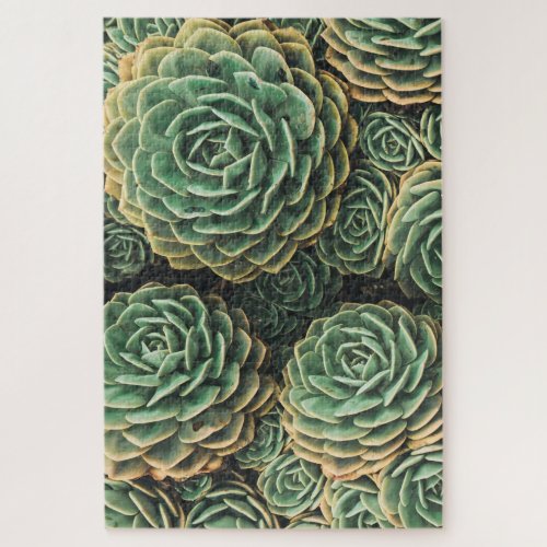 Green Succulent vibrant colorful pattern Jigsaw Puzzle