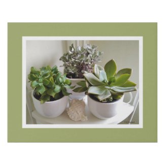 Green Succulents in White with Seashell Faux Canva