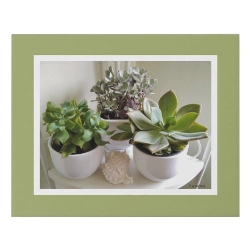 Green Succulents in White with Seashell Faux Canva Faux Canvas Print