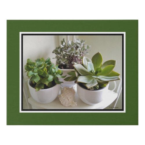 Green Succulents in White with Seashell Faux Canvas Print