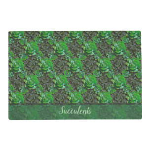 Green Succulents Lattice Laminated Placemats