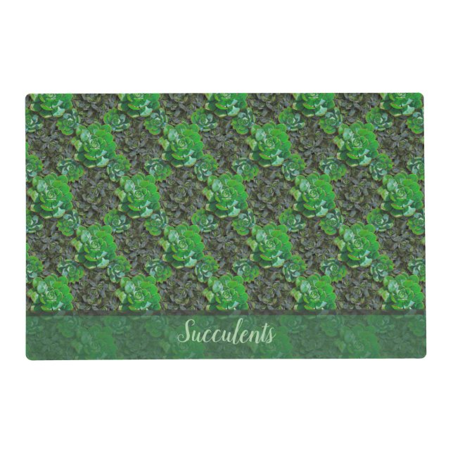 Green Succulents Lattice Laminated Placemats (Front)