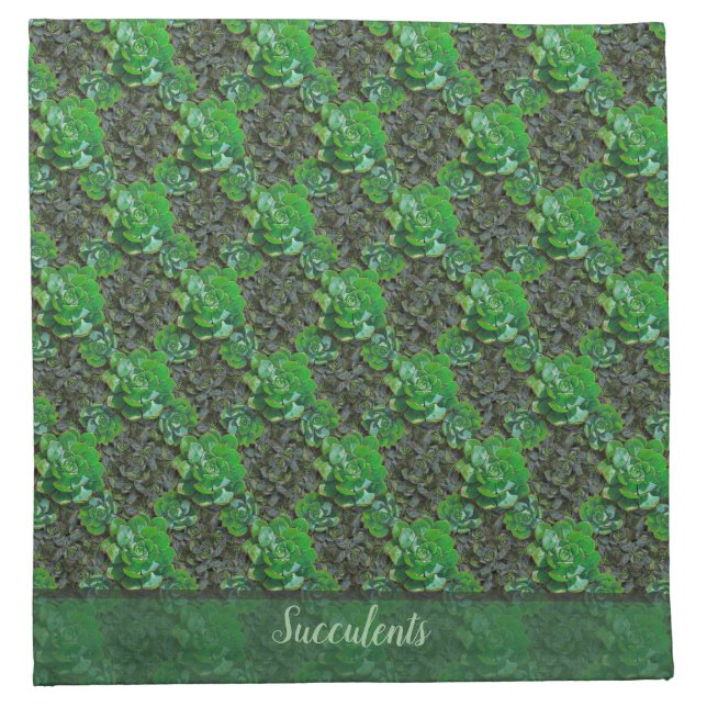 Green Succulents Lattice Pattern Cloth Napkins (Front)