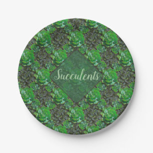 Green Succulents Lattice Pattern Paper Plates