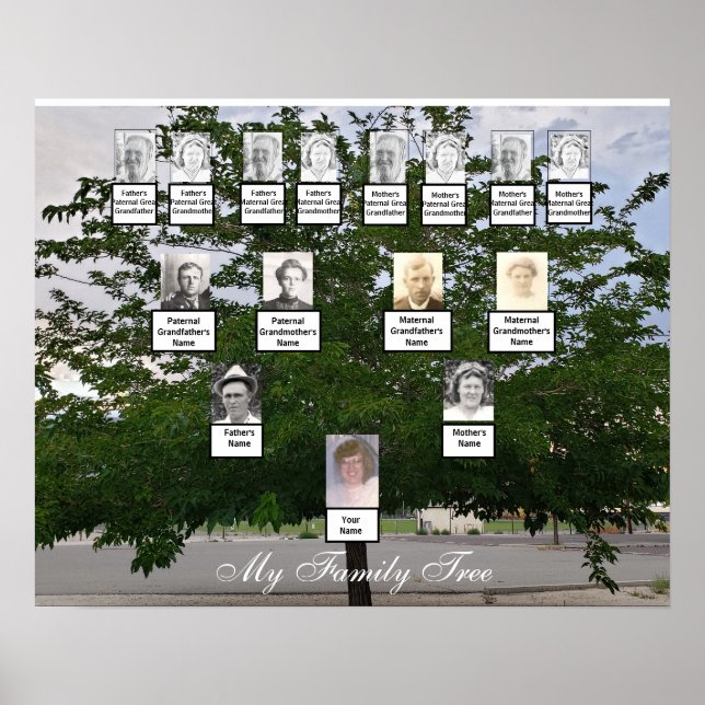 Green Summer Family Tree Photo Poster (Front)