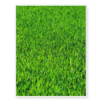 Green Summer Grass Texture Temporary Tattoos