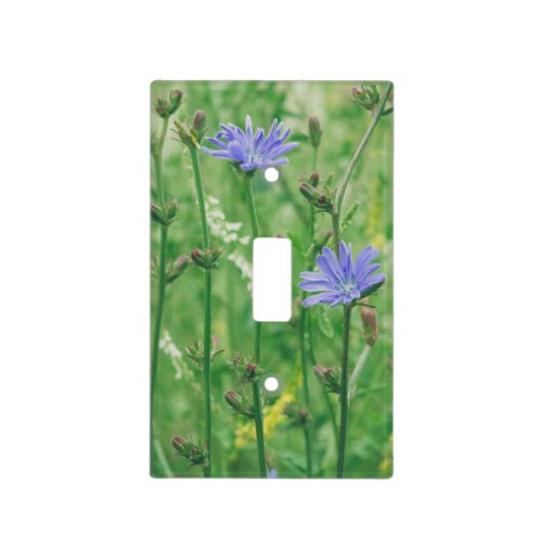 Green summer meadow with blue flowers light switch cover
