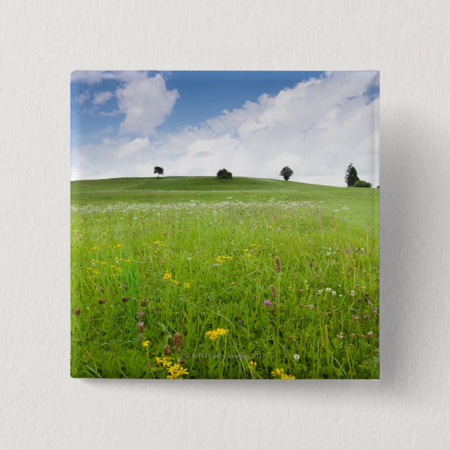 green summer meadows in bavaria, ostallgÃ¤u with Pinback Button (Front)