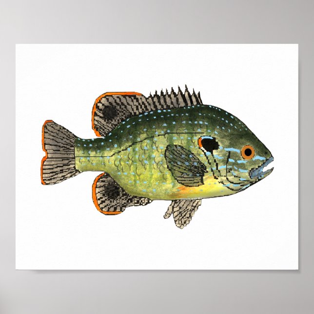 Green Sunfish T-Shirt Poster (Front)