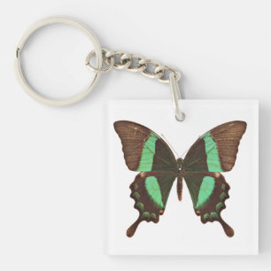 Green Swallowtail Butterfly Keychain