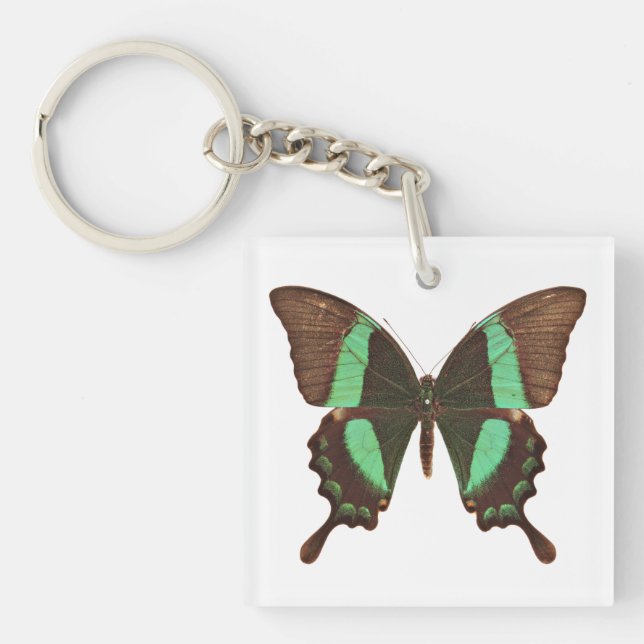 Green Swallowtail Butterfly Keychain (Front)