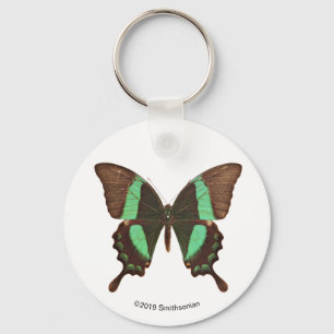 Green Swallowtail Butterfly Keychain