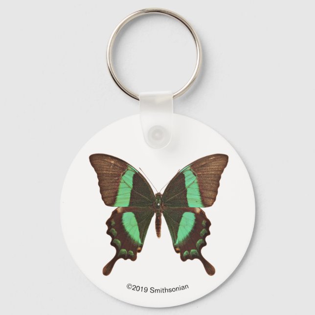 Green Swallowtail Butterfly Keychain (Front)