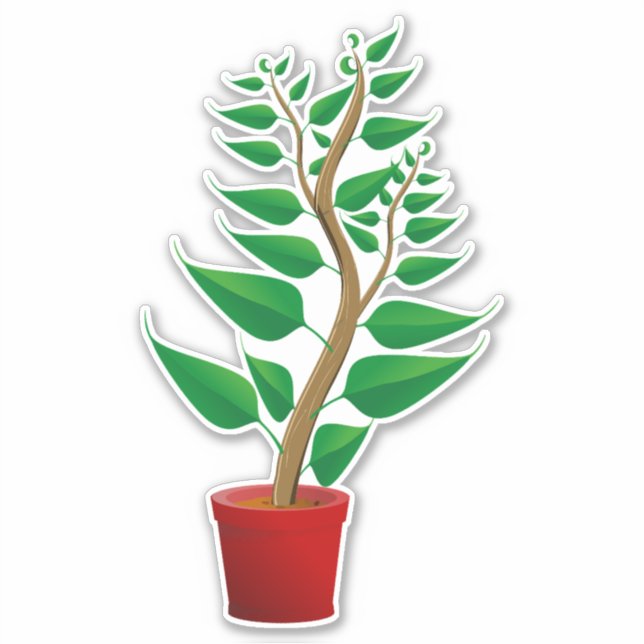 green tall plant in its pot sticker (Front)