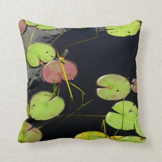 green & teal dragonfly, Black pillow lilypads