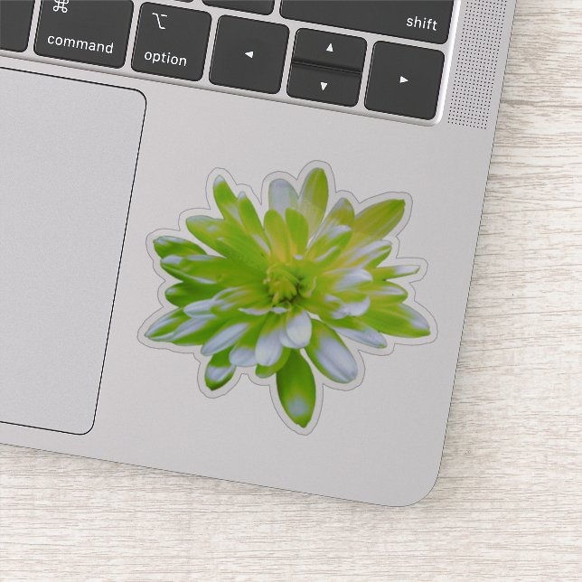 Green teal yellow floral flower retro Daisy  Sticker (Detail)