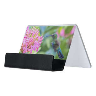 Green Throated Carib Hummingbird Card Holder