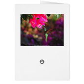 Green-throated Carib Hummingbird Collage Cards (Back)