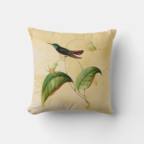 Green Throated Mango Hummingbird Watercolor Pillow