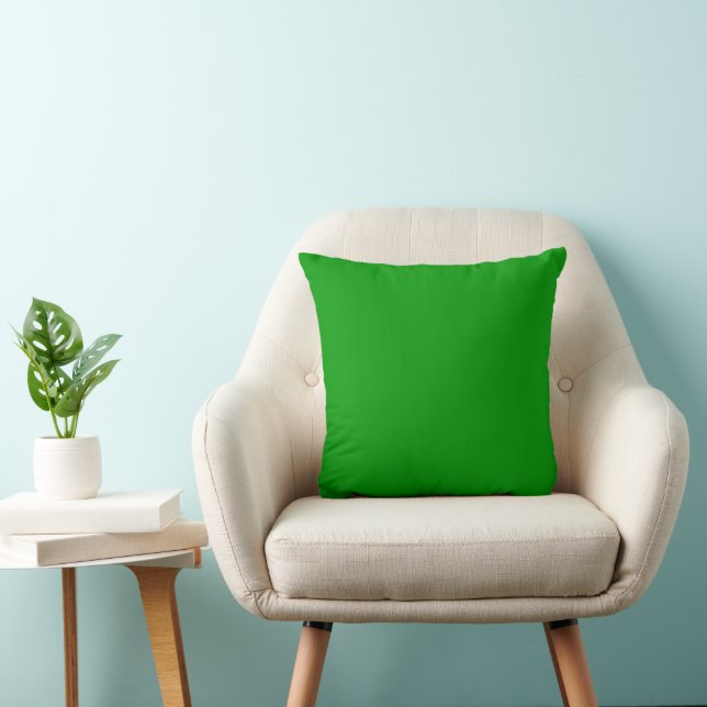 Green Throw Pillow (Chair)