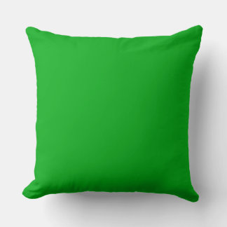Green Throw Pillow 20" x 20"