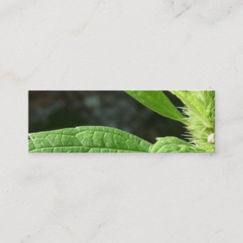 Green Thumb Business Card