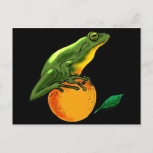 Green Toad and Orange Postcard