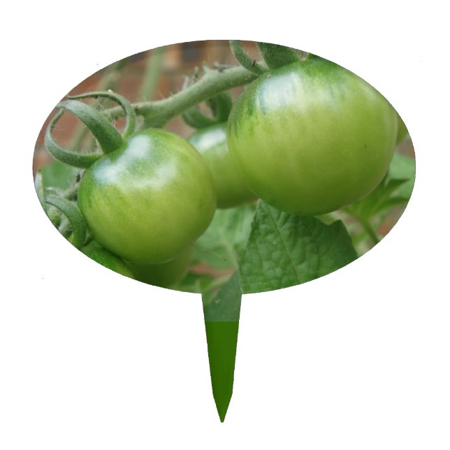 Green Tomatoes Cake Pick (Front)