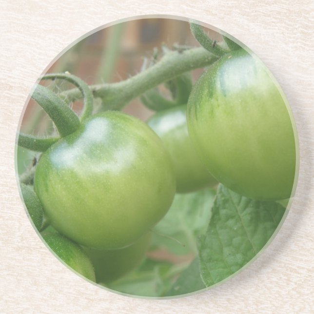 Green Tomatoes Coasters (Front)