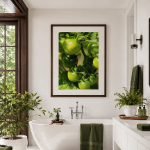 Green Tomatoes on the Vine Botanical Poster