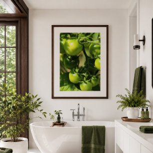 Green Tomatoes on the Vine Botanical Poster