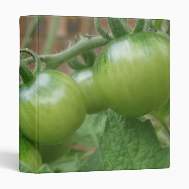 Green Tomatoes Photograph Album 3 Ring Binder (Front/Spine)