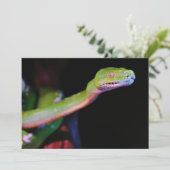 Green Tree Boa Stretching (Standing Front)